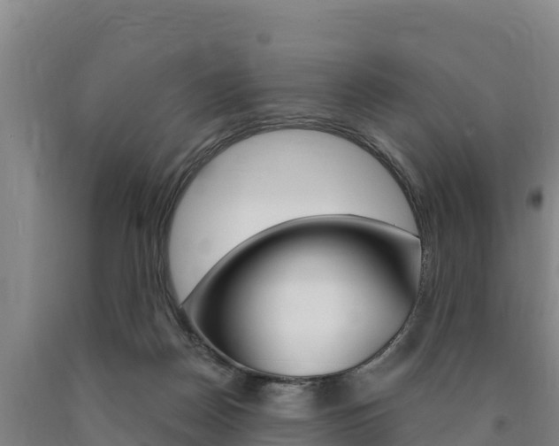 X0000090920170200707301101