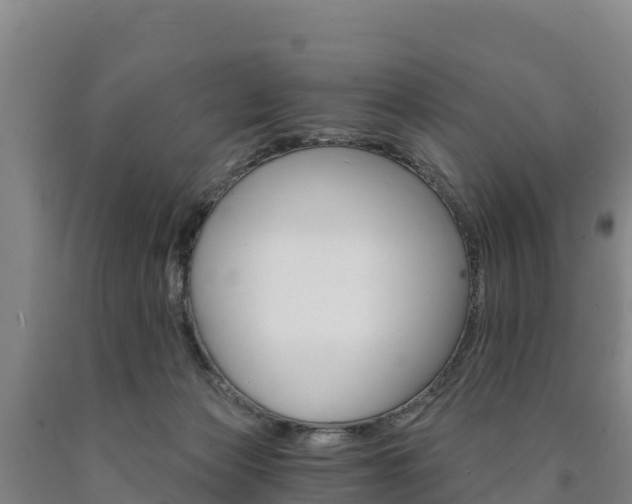 X0000090920173200707301101