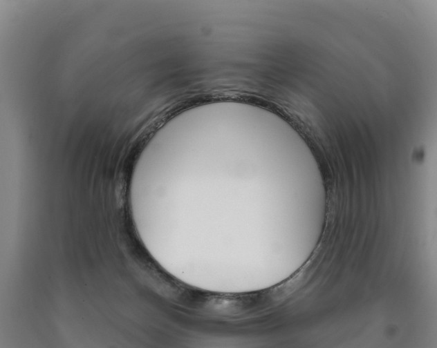 X0000090920174200707301101