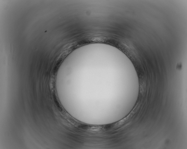 X0000090920175200707301101