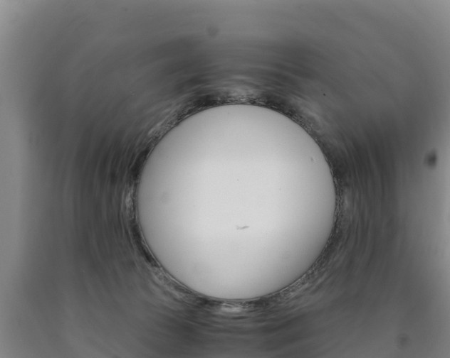 X0000090920177200707301101