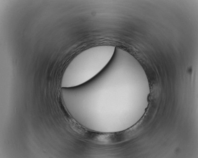 X0000090920178200707301101