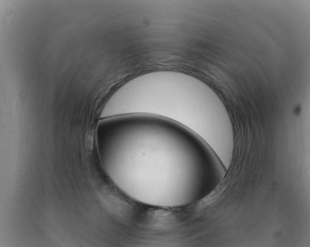 X0000090920180200707301101