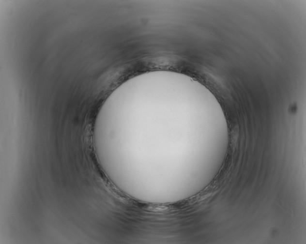 X0000090920181200707301101