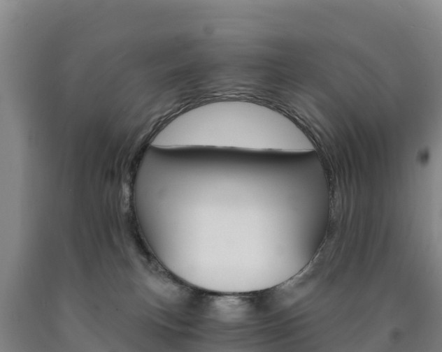 X0000090920183200707301101
