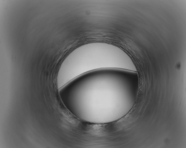 X0000090920184200707301101