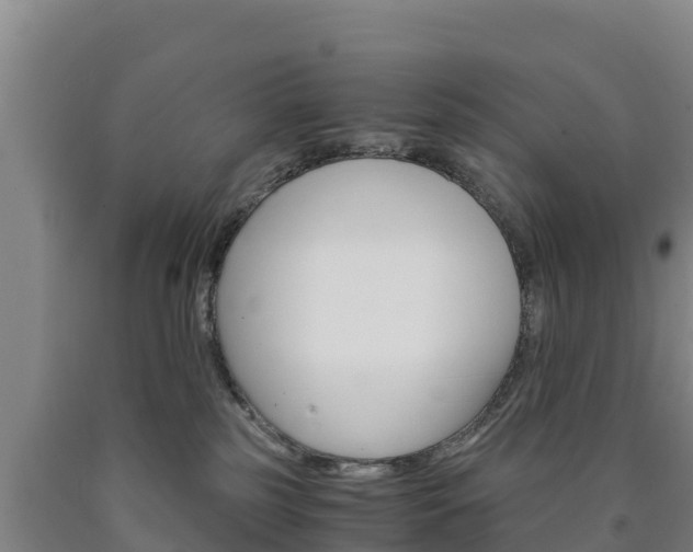 X0000090920185200707301101