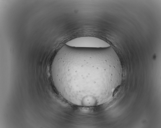 X0000090920187200707301101