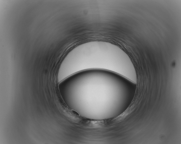 X0000090920188200707301101
