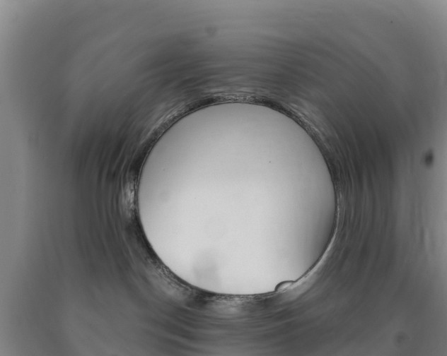 X0000090920190200707301102