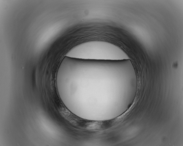 X0000090920191200707301102