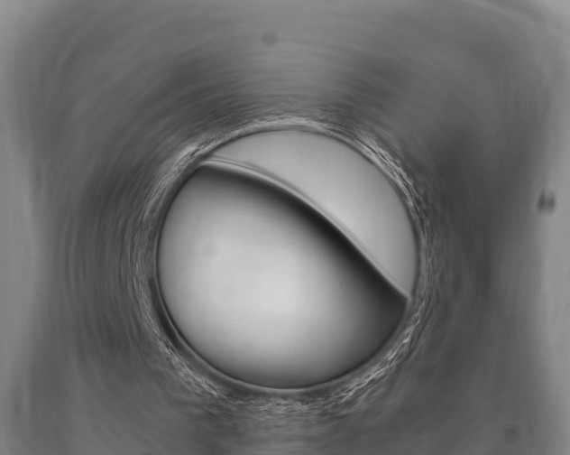 X0000090920193200707301101