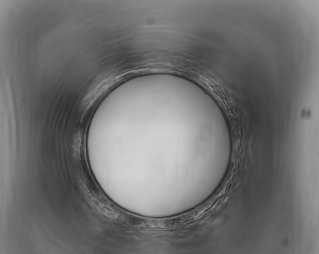 X0000090920194200707301101