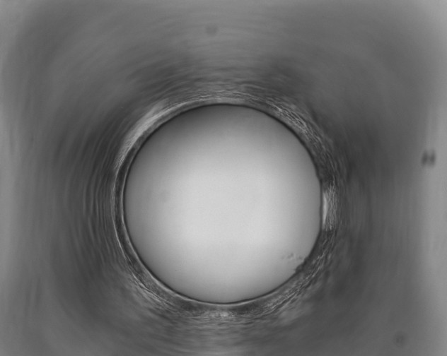 X0000090920195200707301101