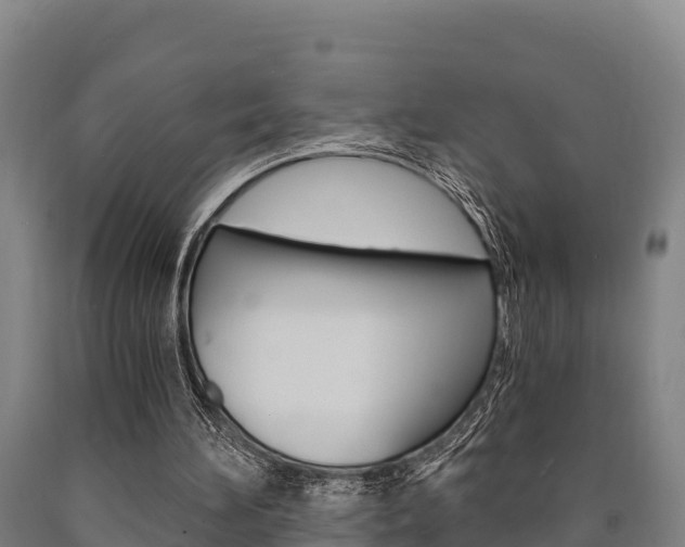 X0000090920196200707301101
