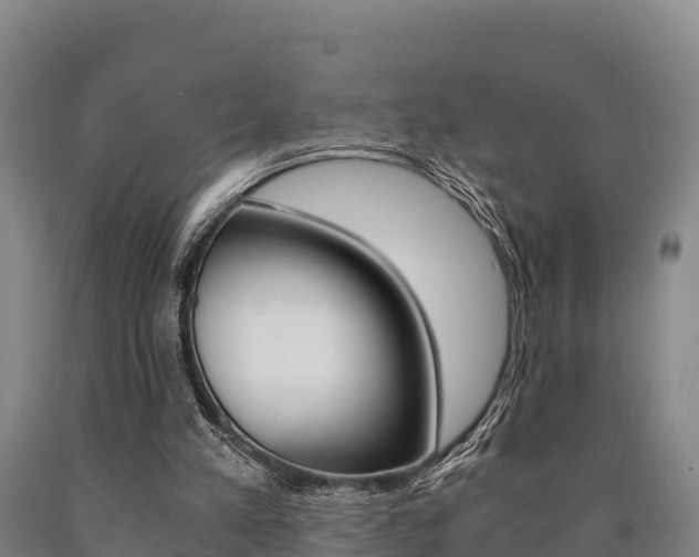 X0000090920197200707301101