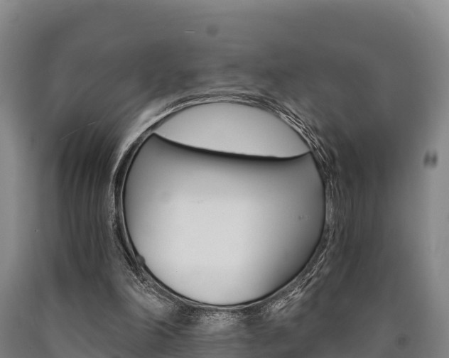 X0000090920198200707301101