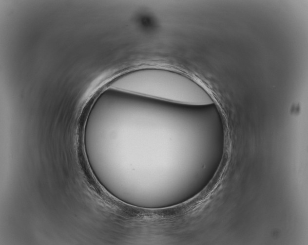 X0000090920199200707301101