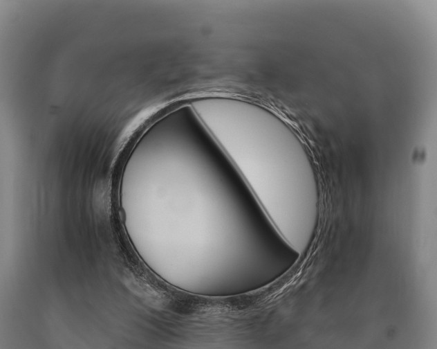 X0000090920200200707301101