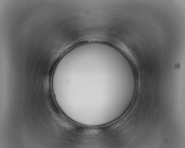 X0000090920202200707301101
