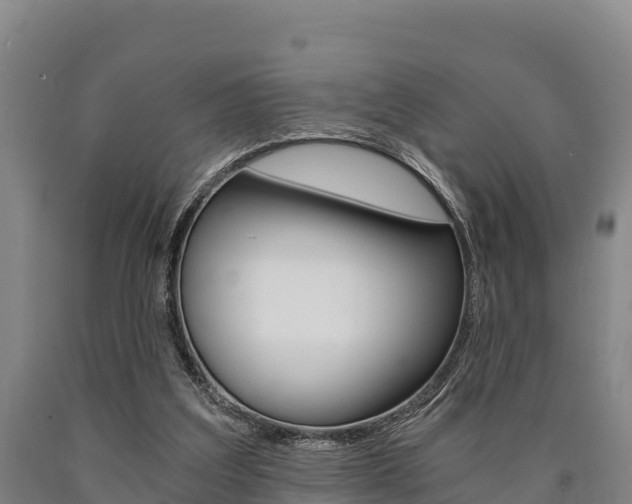 X0000090920203200707301101