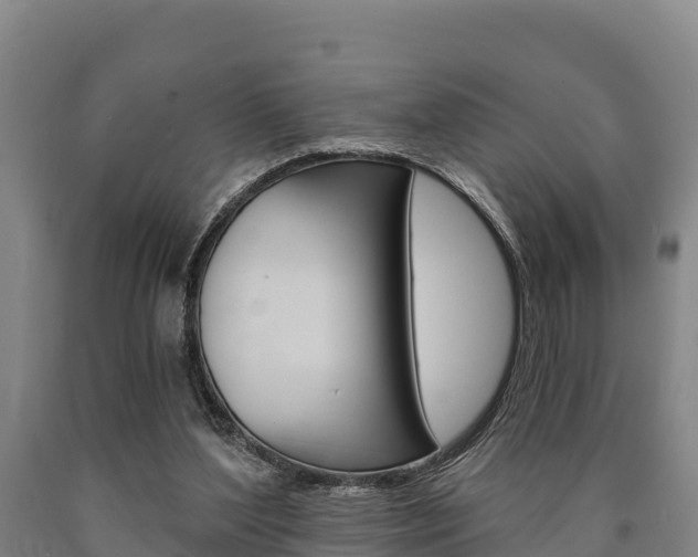 X0000090920204200707301101