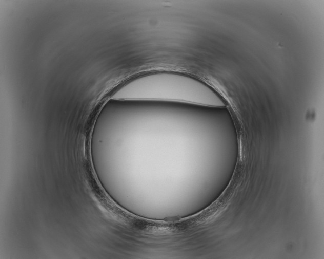 X0000090920205200707301101