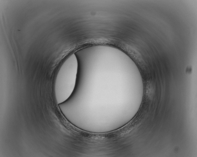 X0000090920206200707301101