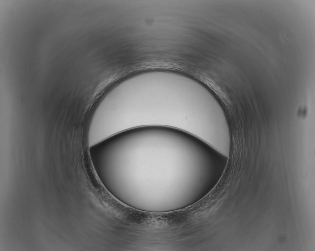 X0000090920207200707301101