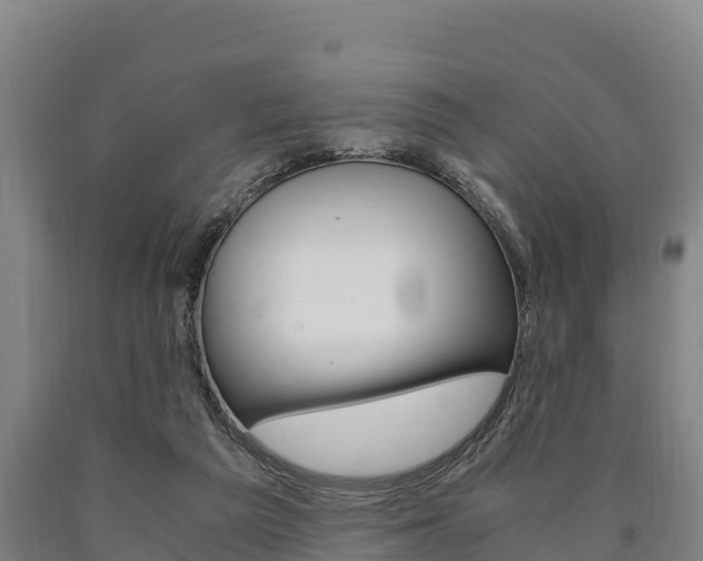 X0000090920209200707301101