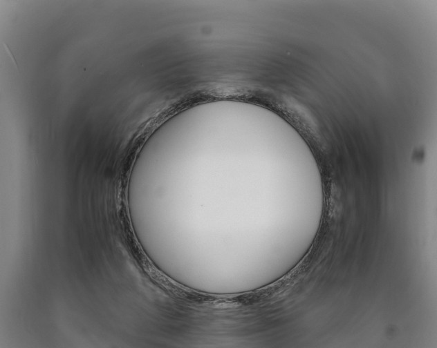 X0000090920210200707301101