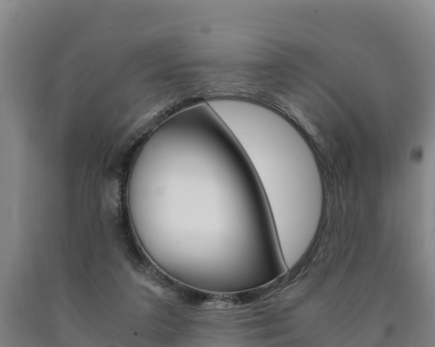 X0000090920211200707301101