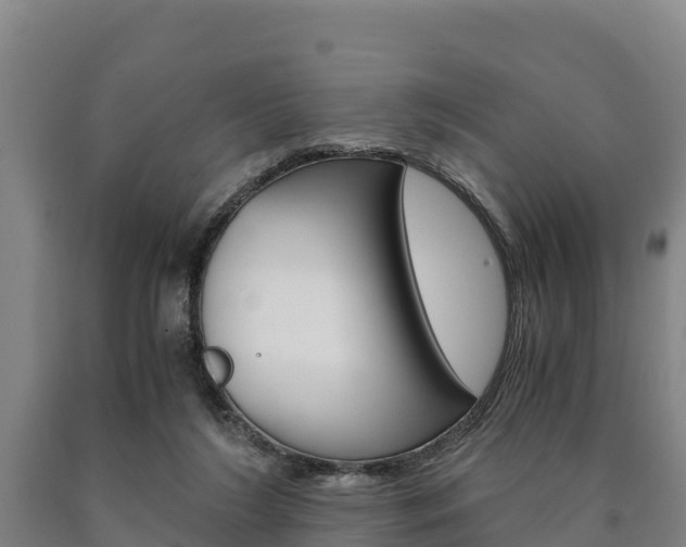 X0000090920212200707301101