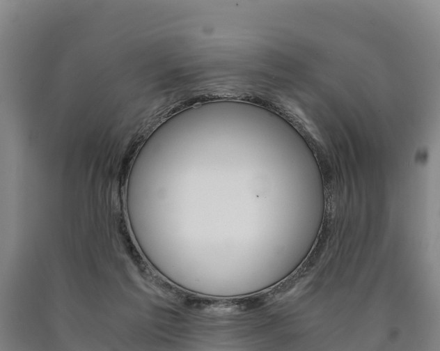 X0000090920213200707301101