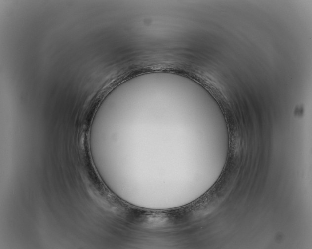 X0000090920214200707301101
