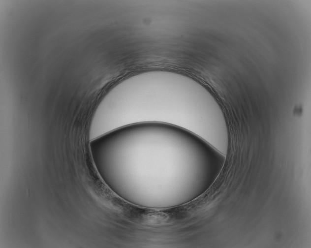 X0000090920215200707301101