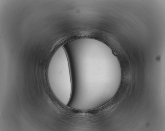 X0000090920216200707301101