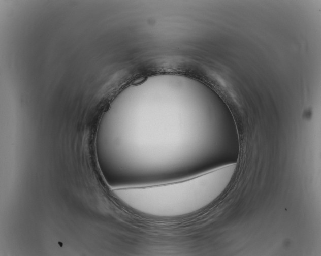 X0000090920217200707301101