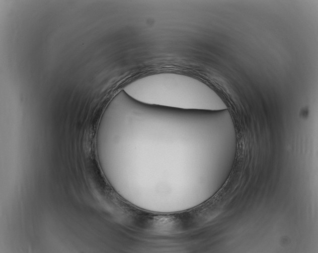 X0000090920218200707301101