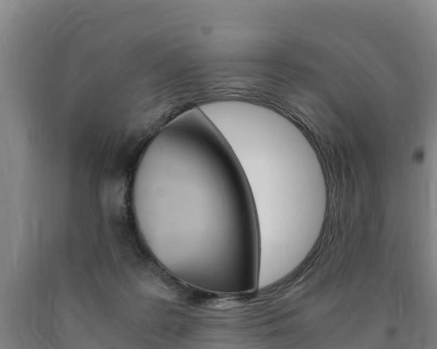 X0000090920219200707301101