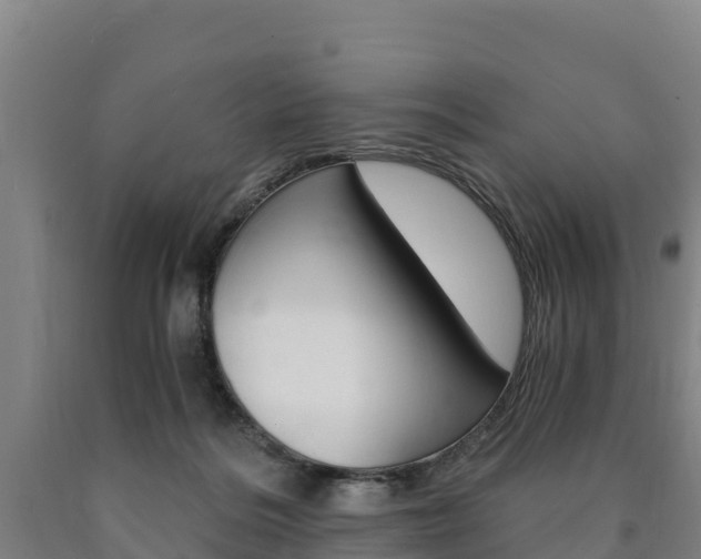X0000090920220200707301101