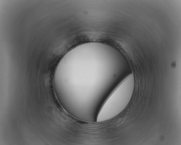 X0000090920221200707301101