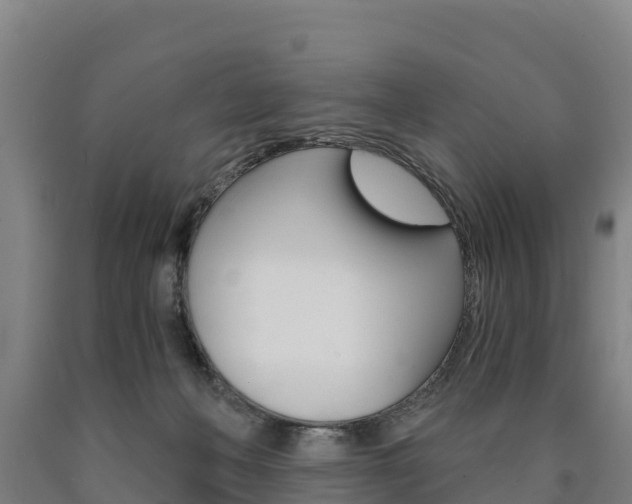 X0000090920222200707301101