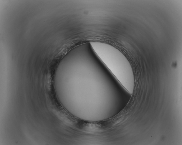 X0000090920223200707301101