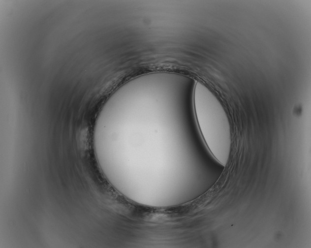 X0000090920224200707301101
