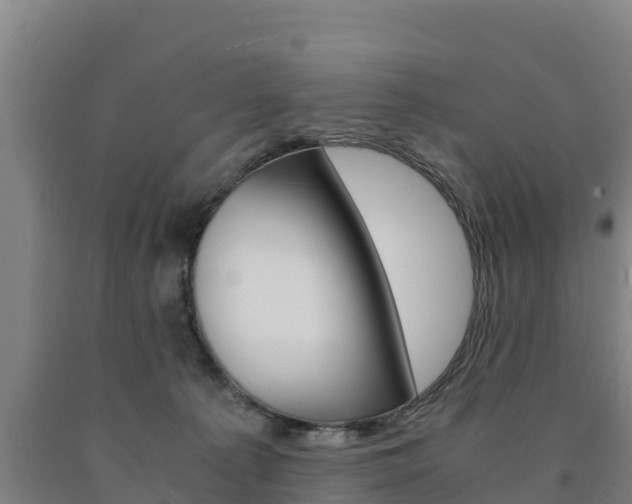 X0000090920225200707301101