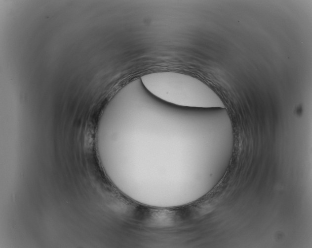 X0000090920226200707301101