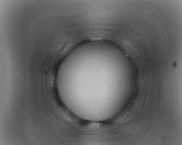 X0000090920227200707301101