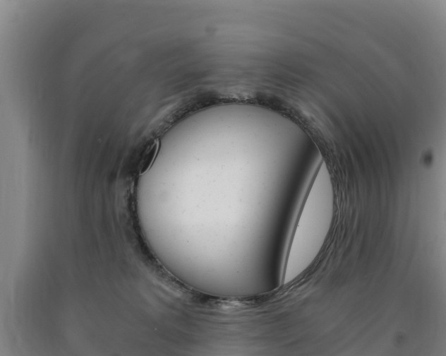 X0000090920229200707301101