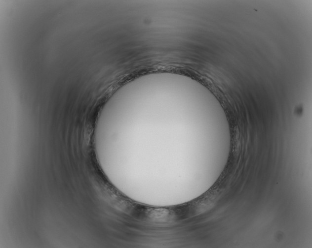 X0000090920230200707301100